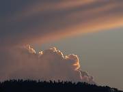 2004-08-23 20-24-05 Nature 200,0mm 1_80_eme F5,0 